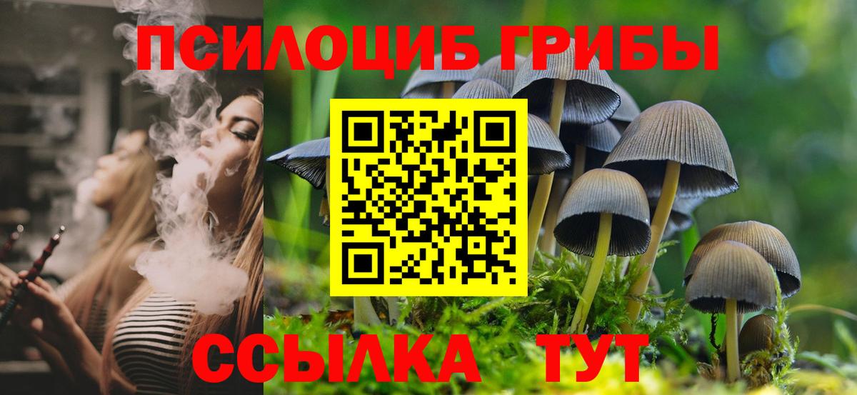 Псилоцибиновые грибы Psilocybine cubensis  цены   Кострома  Вход с VPN  Псилоцибиновые грибы Psilocybine cubensis 
