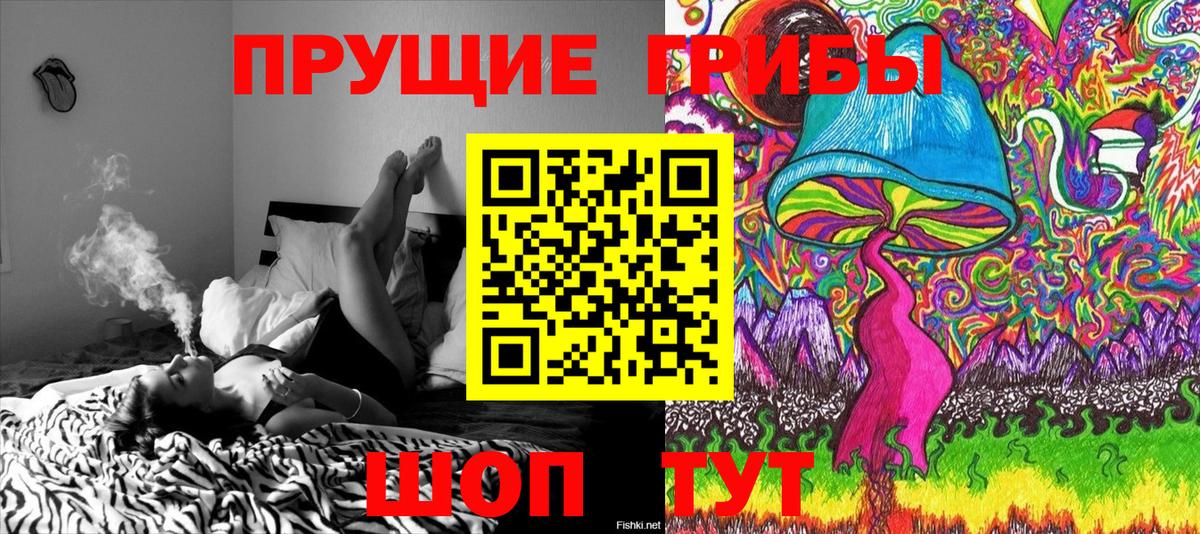 Галлюциногенные грибы Magic Shrooms Кострома